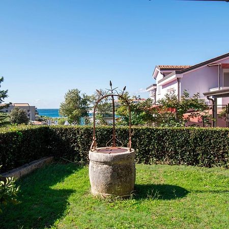 Holiday Apartment 50M From The Beach Pjescana Uvala Dış mekan fotoğraf